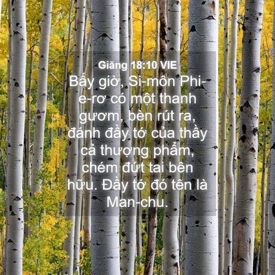 Picture 04 - Giăng 18:10 VIE - Bấy giờ, Si-môn Phi-e-rơ có một thanh - Bible Verse Picture