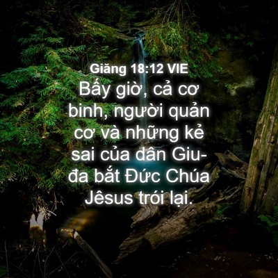 Picture 04 - Giăng 18:12 VIE - Bấy giờ, cả cơ binh, người quản cơ - Bible Verse Picture