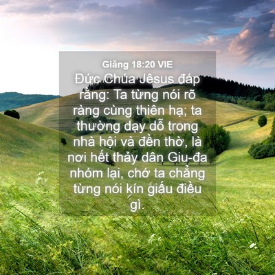 Picture 04 - Giăng 18:20 VIE - Đức Chúa Jêsus đáp rằng: Ta từng nói - Bible Verse Picture