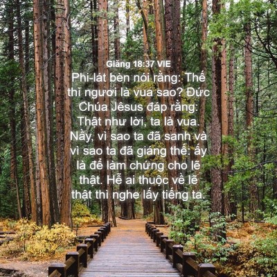 Picture 04 - Giăng 18:37 VIE - Phi-lát bèn nói rằng: Thế thì ngươi là - Bible Verse Picture
