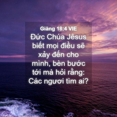 Picture 04 - Giăng 18:4 VIE - Đức Chúa Jêsus biết mọi điều sẽ - Bible Verse Picture