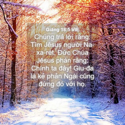 Picture 04 - Giăng 18:5 VIE - Chúng trả lời rằng: Tìm Jêsus người - Bible Verse Picture