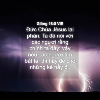 Picture 04 - Giăng 18:8 VIE - Đức Chúa Jêsus lại phán: Ta đã nói - Bible Verse Picture