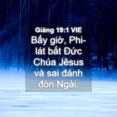 Picture 04 - Giăng 19:1 VIE - Bấy giờ, Phi-lát bắt Đức Chúa Jêsus - Bible Verse Picture