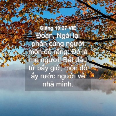 Picture 04 - Giăng 19:27 VIE - Đoạn, Ngài lại phán cùng người môn - Bible Verse Picture