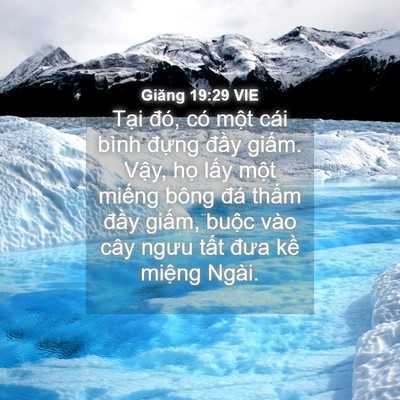 Picture 04 - Giăng 19:29 VIE - Tại đó, có một cái bình đựng đầy - Bible Verse Picture