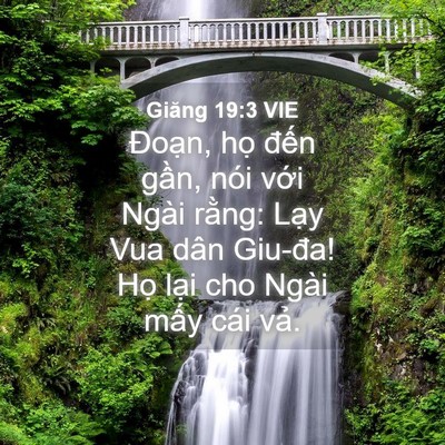 Picture 04 - Giăng 19:3 VIE - Đoạn, họ đến gần, nói với Ngài - Bible Verse Picture