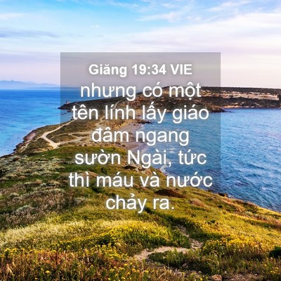 Picture 04 - Giăng 19:34 VIE - nhưng có một tên lính lấy giáo đâm - Bible Verse Picture
