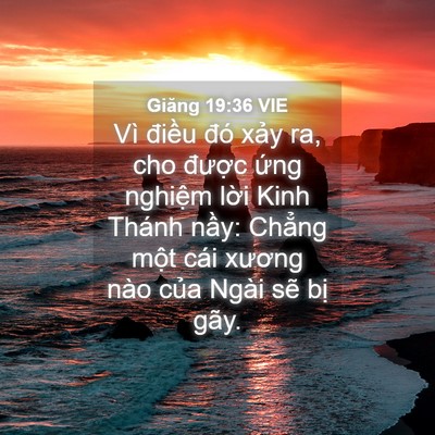 Picture 04 - Giăng 19:36 VIE - Vì điều đó xảy ra, cho được ứng - Bible Verse Picture