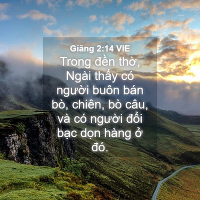 Picture 04 - Giăng 2:14 VIE - Trong đền thờ, Ngài thấy có người - Bible Verse Picture