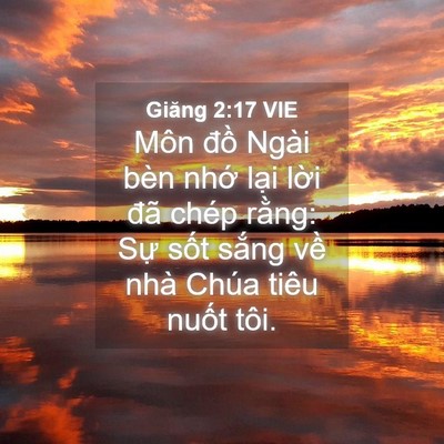 Picture 04 - Giăng 2:17 VIE - Môn đồ Ngài bèn nhớ lại lời đã - Bible Verse Picture