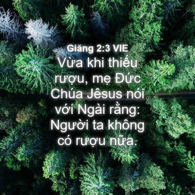 Picture 04 - Giăng 2:3 VIE - Vừa khi thiếu rượu, mẹ Đức Chúa - Bible Verse Picture