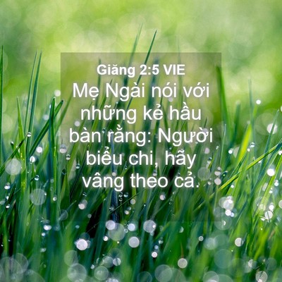 Picture 04 - Giăng 2:5 VIE - Mẹ Ngài nói với những kẻ hầu bàn - Bible Verse Picture