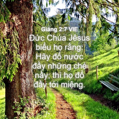 Picture 04 - Giăng 2:7 VIE - Đức Chúa Jêsus biểu họ rằng: Hãy - Bible Verse Picture
