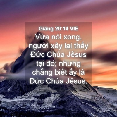 Picture 04 - Giăng 20:14 VIE - Vừa nói xong, người xây lại thấy - Bible Verse Picture