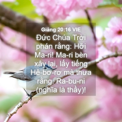 Picture 04 - Giăng 20:16 VIE - Đức Chúa Trời phán rằng: Hỡi Ma-ri! - Bible Verse Picture