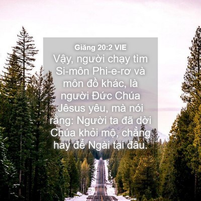 Picture 04 - Giăng 20:2 VIE - Vậy, người chạy tìm Si-môn Phi-e-rơ và - Bible Verse Picture