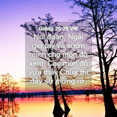 Picture 04 - Giăng 20:20 VIE - Nói đoạn, Ngài giơ tay và sườn mình - Bible Verse Picture