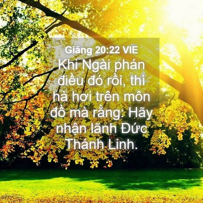 Picture 04 - Giăng 20:22 VIE - Khi Ngài phán điều đó rồi, thì hà hơi - Bible Verse Picture