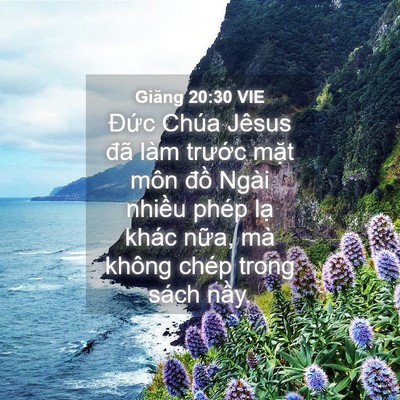 Picture 04 - Giăng 20:30 VIE - Đức Chúa Jêsus đã làm trước mặt môn - Bible Verse Picture