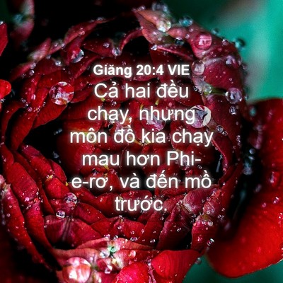 Picture 04 - Giăng 20:4 VIE - Cả hai đều chạy, nhưng môn đồ kia - Bible Verse Picture