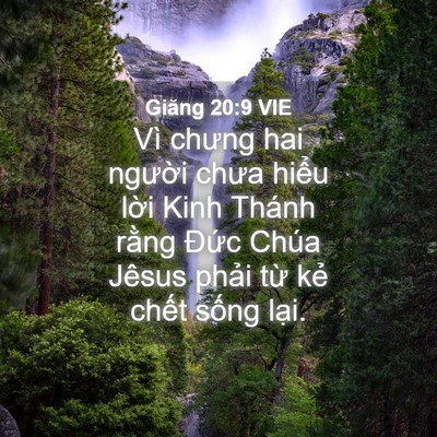 Picture 04 - Giăng 20:9 VIE - Vì chưng hai người chưa hiểu lời Kinh - Bible Verse Picture