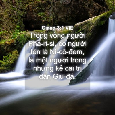 Picture 04 - Giăng 3:1 VIE - Trong vòng người Pha-ri-si, có người tên - Bible Verse Picture