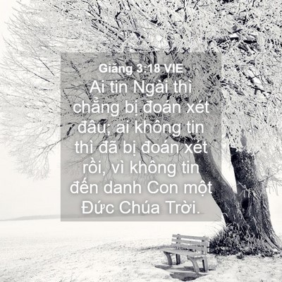 Picture 04 - Giăng 3:18 VIE - Ai tin Ngài thì chẳng bị đoán xét đâu; - Bible Verse Picture