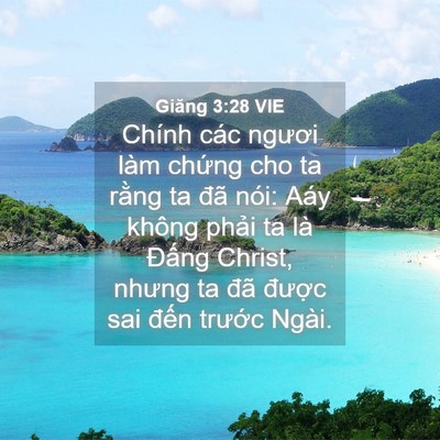Picture 04 - Giăng 3:28 VIE - Chính các ngươi làm chứng cho ta rằng ta - Bible Verse Picture