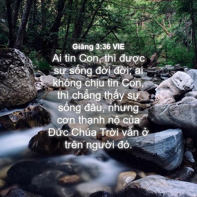 Picture 04 - Giăng 3:36 VIE - Ai tin Con, thì được sự sống đời - Bible Verse Picture