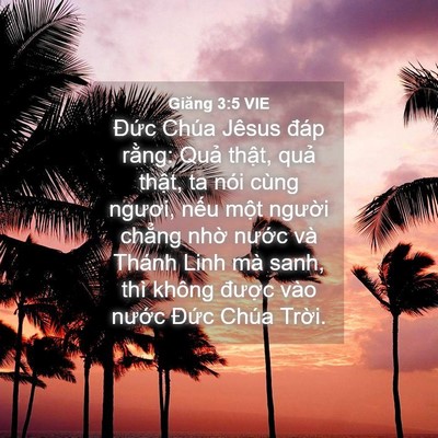 Picture 04 - Giăng 3:5 VIE - Đức Chúa Jêsus đáp rằng: Quả thật, - Bible Verse Picture