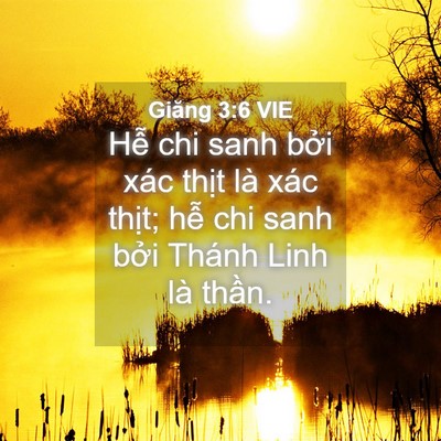 Picture 04 - Giăng 3:6 VIE - Hễ chi sanh bởi xác thịt là xác thịt; - Bible Verse Picture