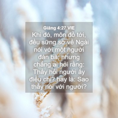 Picture 04 - Giăng 4:27 VIE - Khi đó, môn đồ tới, đều sững sờ - Bible Verse Picture