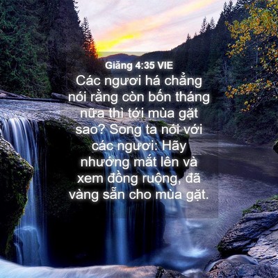 Picture 04 - Giăng 4:35 VIE - Các ngươi há chẳng nói rằng còn bốn - Bible Verse Picture