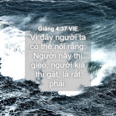 Picture 04 - Giăng 4:37 VIE - Vì đây người ta có thể nói rằng: - Bible Verse Picture