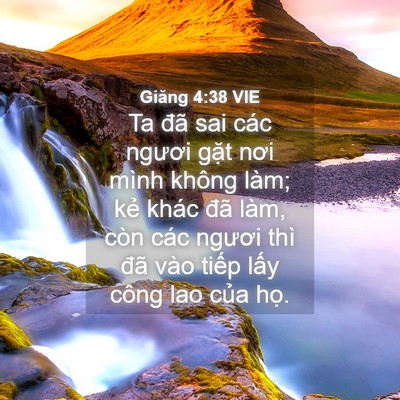 Picture 04 - Giăng 4:38 VIE - Ta đã sai các ngươi gặt nơi mình không - Bible Verse Picture