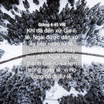 Picture 04 - Giăng 4:45 VIE - Khi đã đến xứ Ga-li-lê, Ngài được - Bible Verse Picture