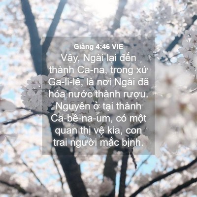 Picture 04 - Giăng 4:46 VIE - Vậy, Ngài lại đến thành Ca-na, trong - Bible Verse Picture