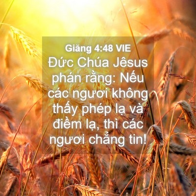 Picture 04 - Giăng 4:48 VIE - Đức Chúa Jêsus phán rằng: Nếu các - Bible Verse Picture