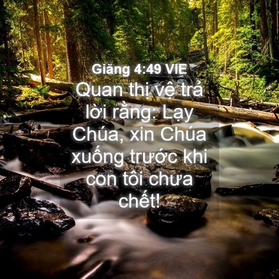 Picture 04 - Giăng 4:49 VIE - Quan thị vệ trả lời rằng: Lạy Chúa, - Bible Verse Picture
