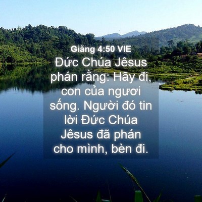 Picture 04 - Giăng 4:50 VIE - Đức Chúa Jêsus phán rằng: Hãy đi, con - Bible Verse Picture