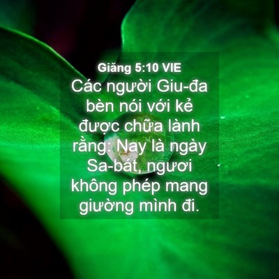 Picture 04 - Giăng 5:10 VIE - Các người Giu-đa bèn nói với kẻ - Bible Verse Picture