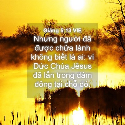 Picture 04 - Giăng 5:13 VIE - Nhưng người đã được chữa lành không - Bible Verse Picture
