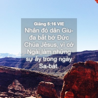 Picture 04 - Giăng 5:16 VIE - Nhân đó dân Giu-đa bắt bớ Đức Chúa - Bible Verse Picture