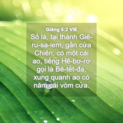 Picture 04 - Giăng 5:2 VIE - Số là, tại thành Giê-ru-sa-lem, gần - Bible Verse Picture