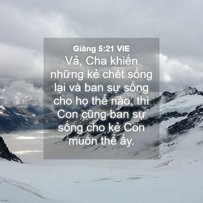 Picture 04 - Giăng 5:21 VIE - Vả, Cha khiến những kẻ chết sống - Bible Verse Picture