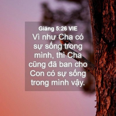 Picture 04 - Giăng 5:26 VIE - Vì như Cha có sự sống trong mình, thì - Bible Verse Picture