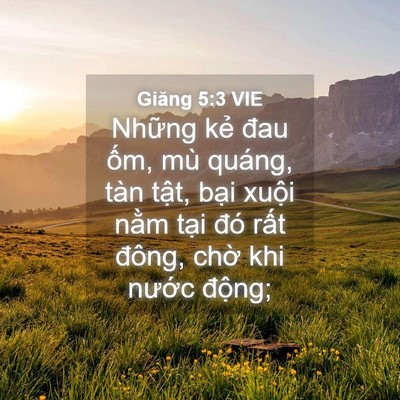 Picture 04 - Giăng 5:3 VIE - Những kẻ đau ốm, mù quáng, tàn tật, - Bible Verse Picture