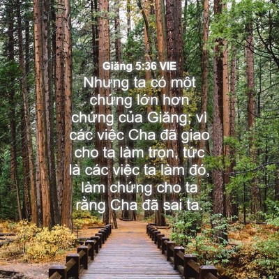Picture 04 - Giăng 5:36 VIE - Nhưng ta có một chứng lớn hơn chứng - Bible Verse Picture