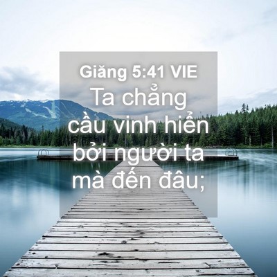 Picture 04 - Giăng 5:41 VIE - Ta chẳng cầu vinh hiển bởi người ta - Bible Verse Picture